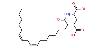 N-Linoleoyl-L-glutamic acid